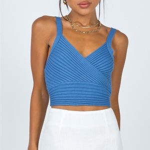 NWOT Arlene top blue princess polly